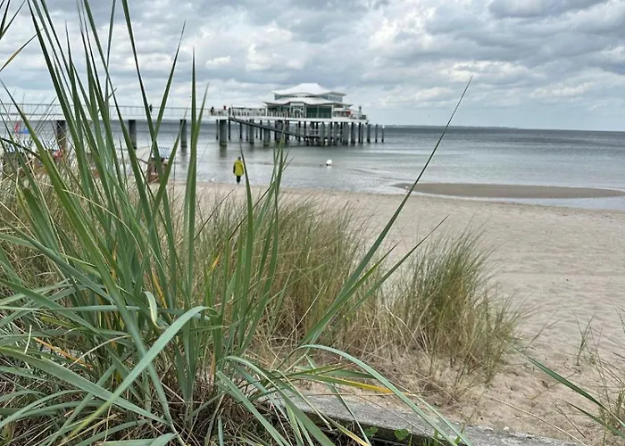 Sealect-hus-4-timmendorfer-strand-mit-sauna Holiday home